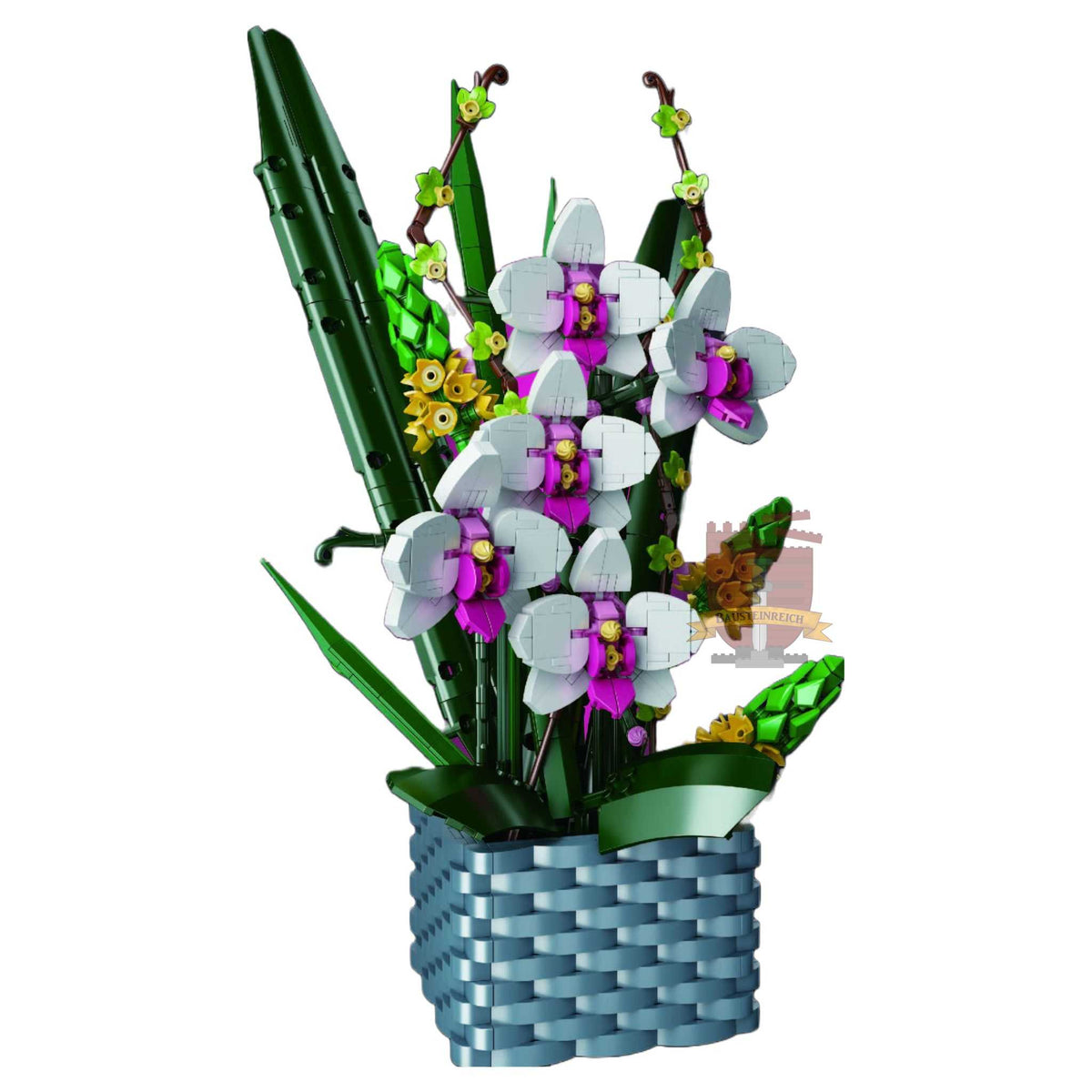 SP-10025 - Nachtfalterorchidee (Sonderposten)
