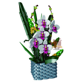 SP-10025 - Nachtfalterorchidee (Sonderposten)