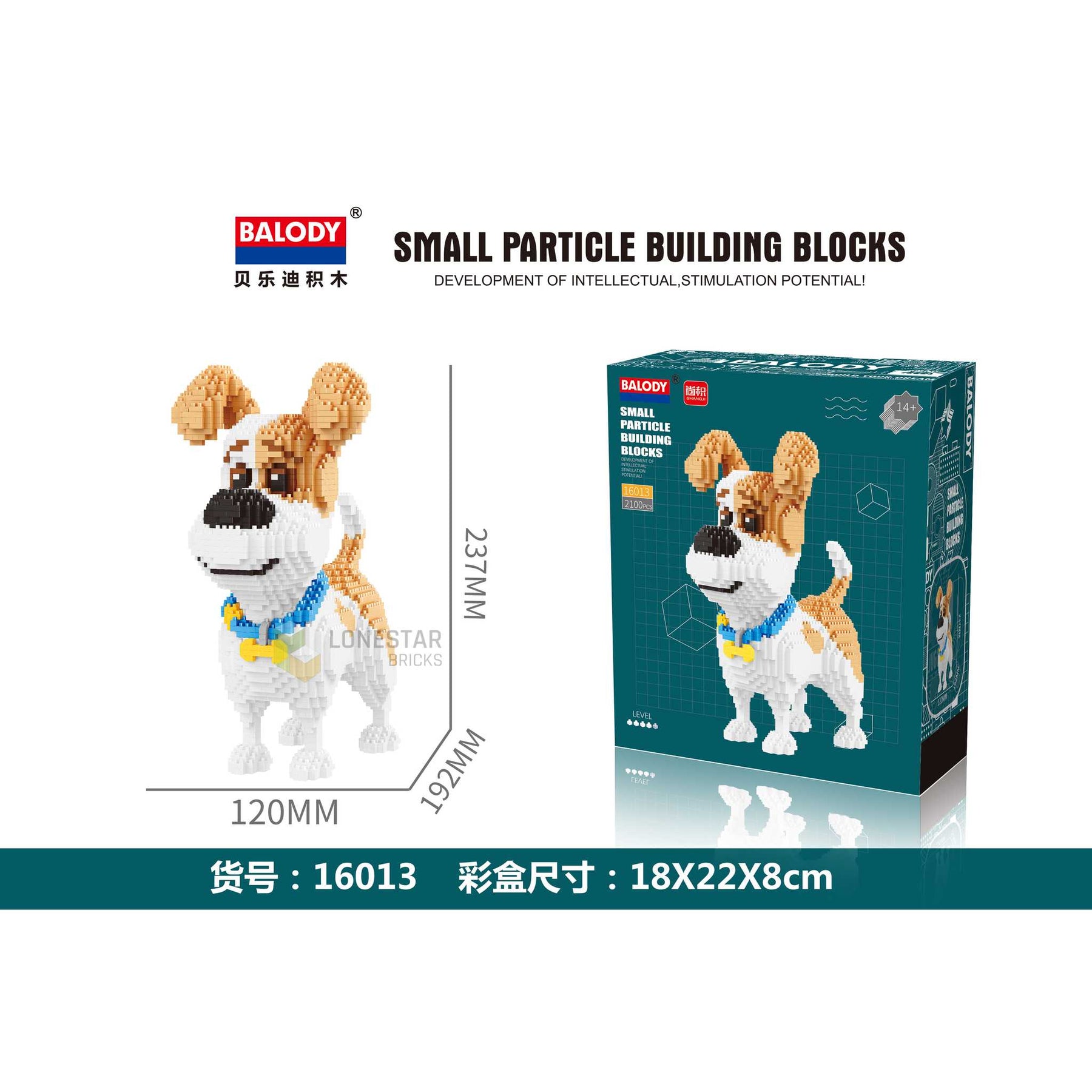 SP-16013 - Jack Russel Terrier (Sonderposten)