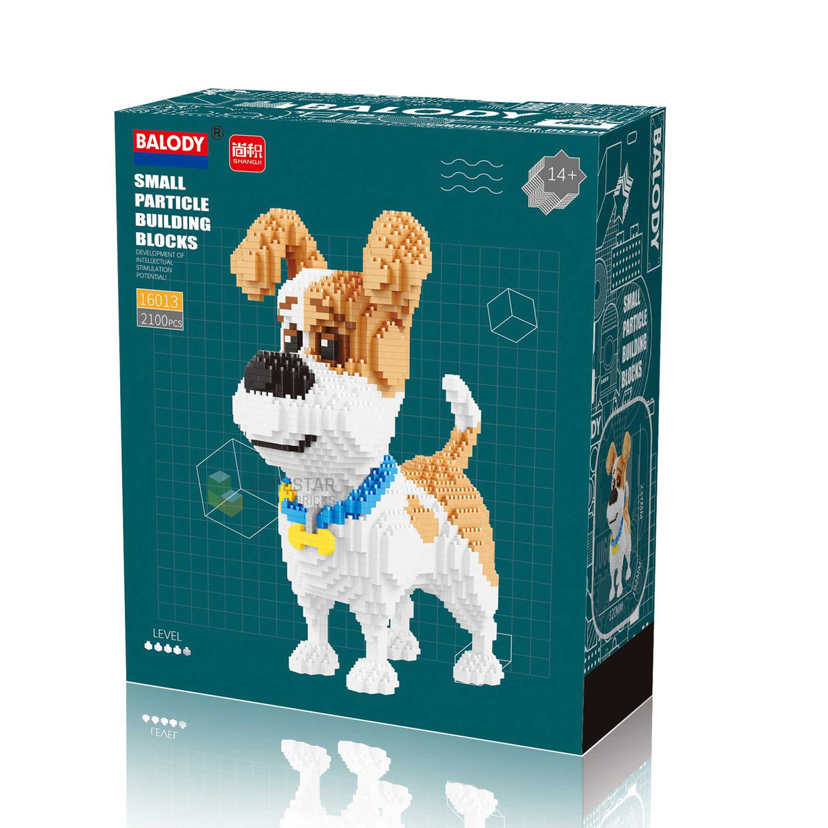 SP-16013 - Jack Russel Terrier (Sonderposten)