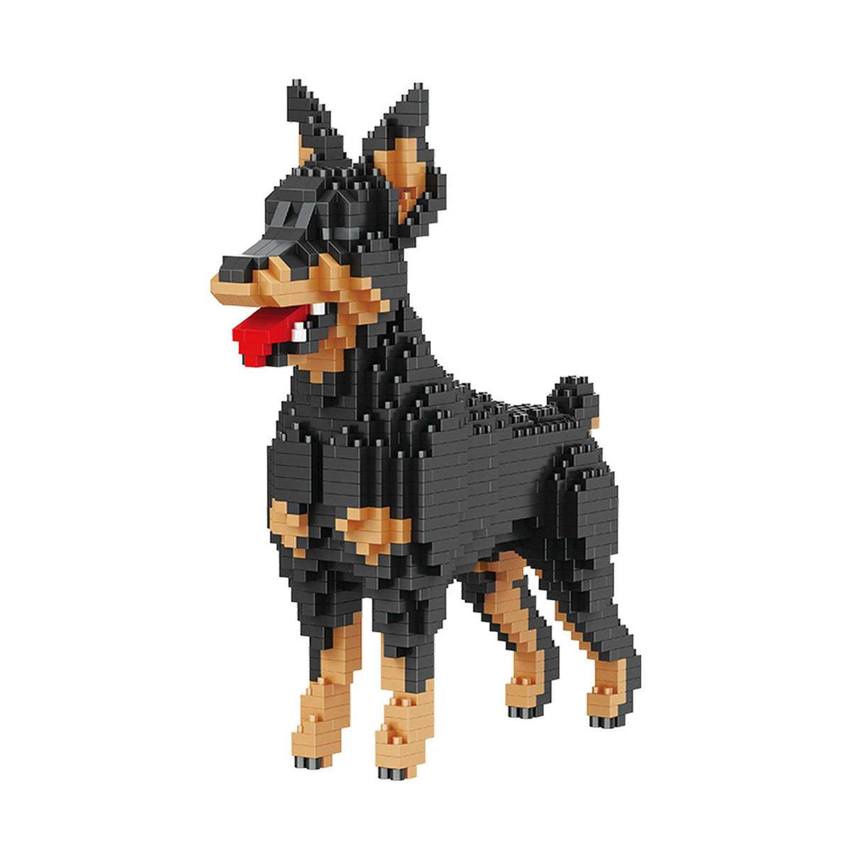B-18247 - Pinscher (Balody)