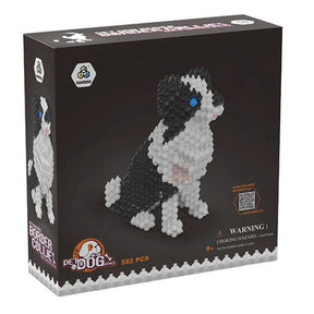 57028 - Border Collie (Kadele)