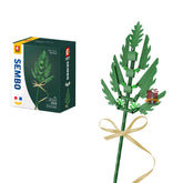 601241 - Goldfruchtpalme (Sembo)