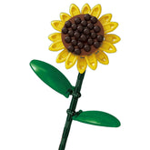 601278 - Sonnenblume (Sembo)