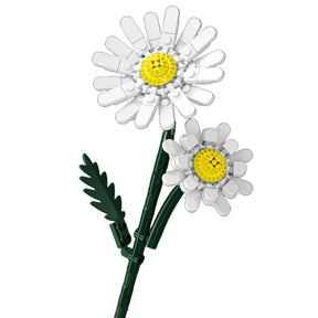 601281 - Gänseblümchen (Sembo)