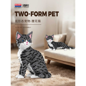 B-16642 - 2in1 Chinesische Tigerkatze (Balody)