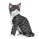 B-16642 - 2in1 Chinesische Tigerkatze (Balody)