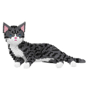 B-16642 - 2in1 Chinesische Tigerkatze (Balody)