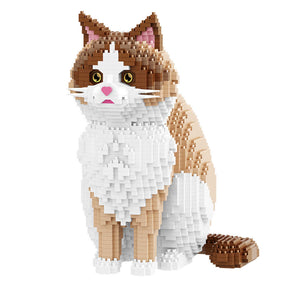 B-16643 - 2in1 Ragdoll-Katze (Balody)