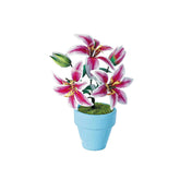 K20806 - Lilien (Iron Star)